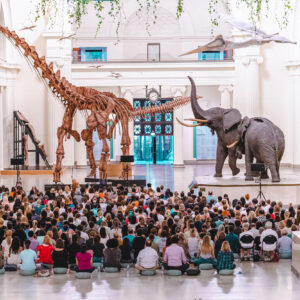 Wanderlust and Wellbeing: The World's Most Transformative Wellness Festivals