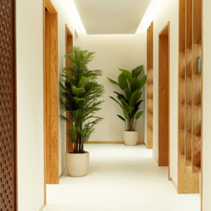 Vera: Dubai’s New Standard in Integrated Luxury, Beauty and Wellness